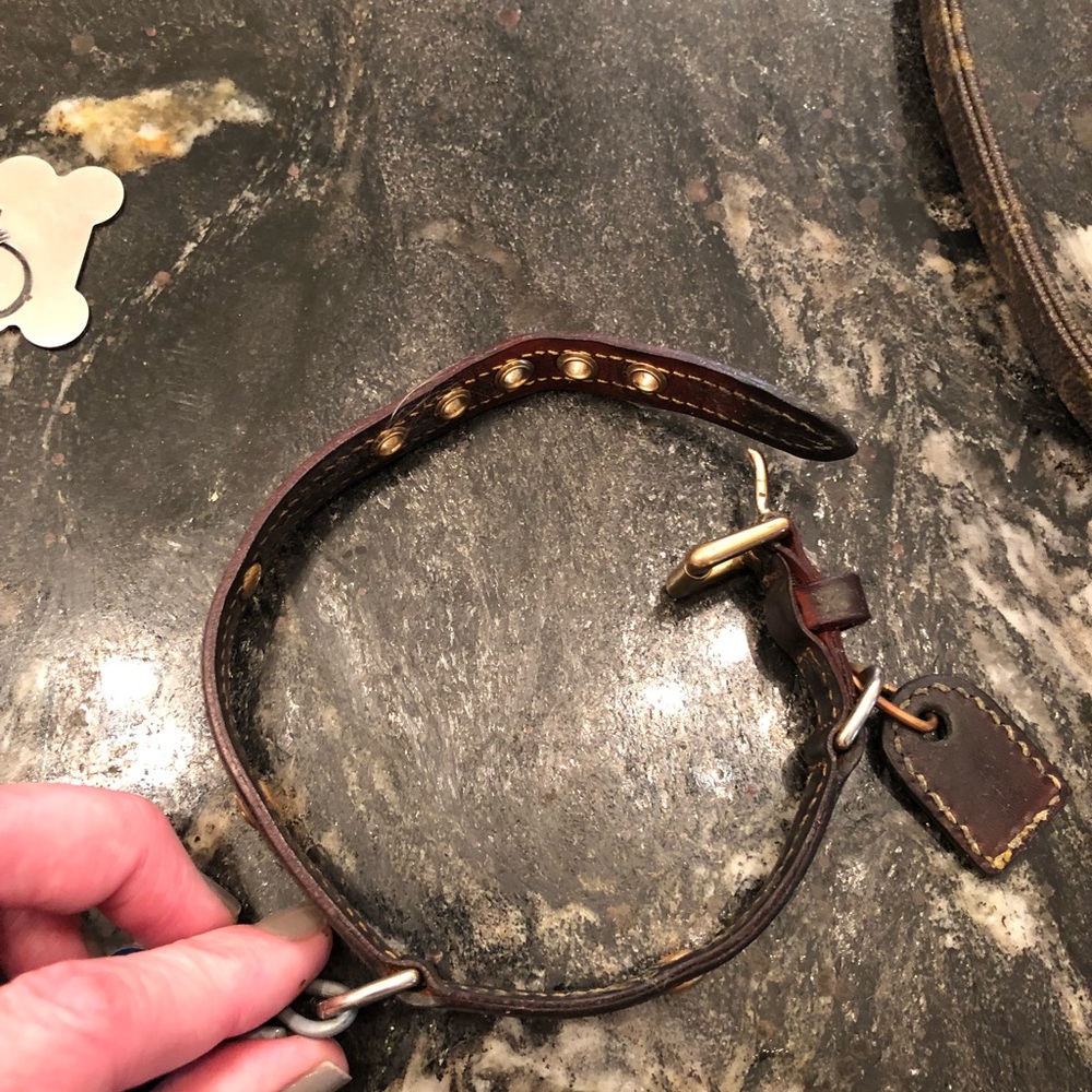 Louis Vuitton dog collar